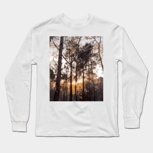 deep jungle pine tree forest Long Sleeve T-Shirt